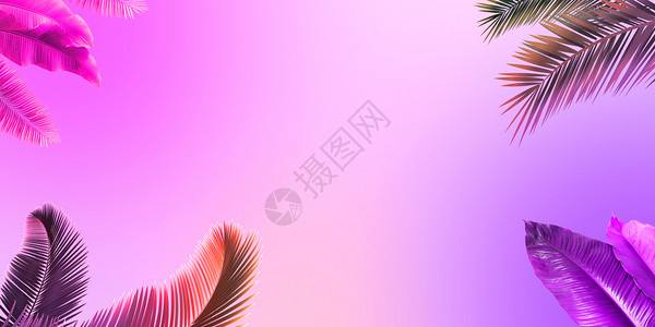 紫色叶子创意色彩背景设计图片