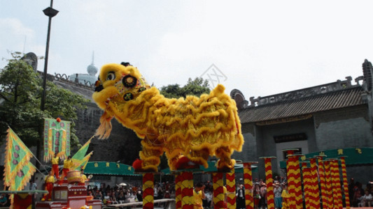 黄飞鸿故居广东佛山舞狮GIF高清图片