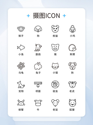 宠物iconUI设计动物类icon图标模板