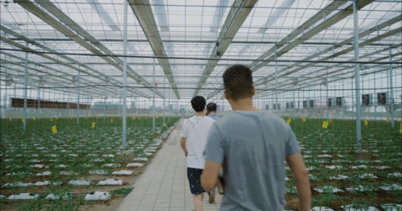 科技种植农业大棚GIF高清图片