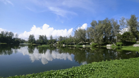 河流田野湖面倒影GIF高清图片
