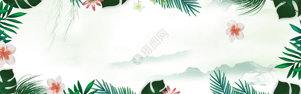 热带树叶花卉花卉叶子背景设计图片