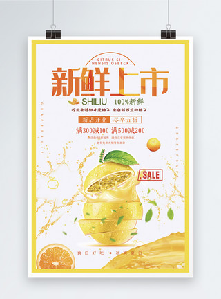 柚子果汁新鲜水果柚子新品上市海报模板