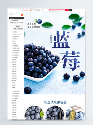 俯拍蓝莓蓝莓水果电商淘宝详情页模板