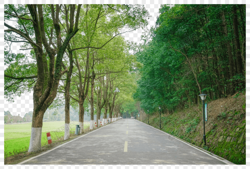 韶山旅游风景区图片