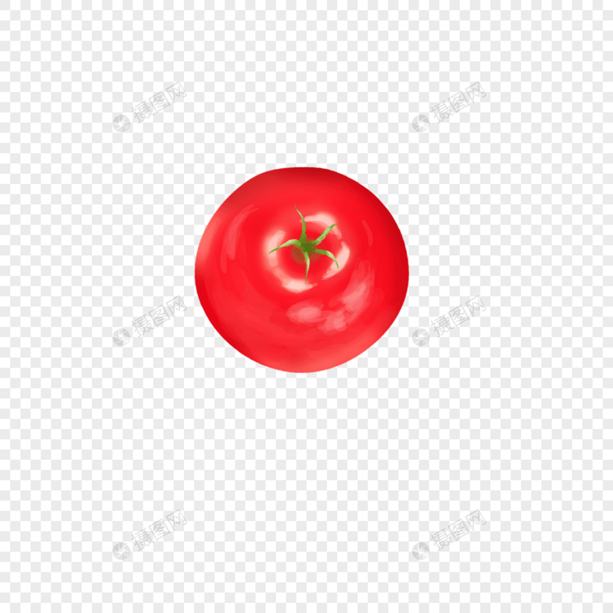 一只番茄图片