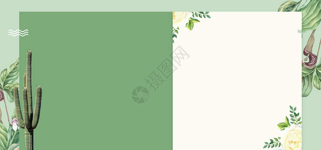 绿色的仙人掌文艺清新背景设计图片