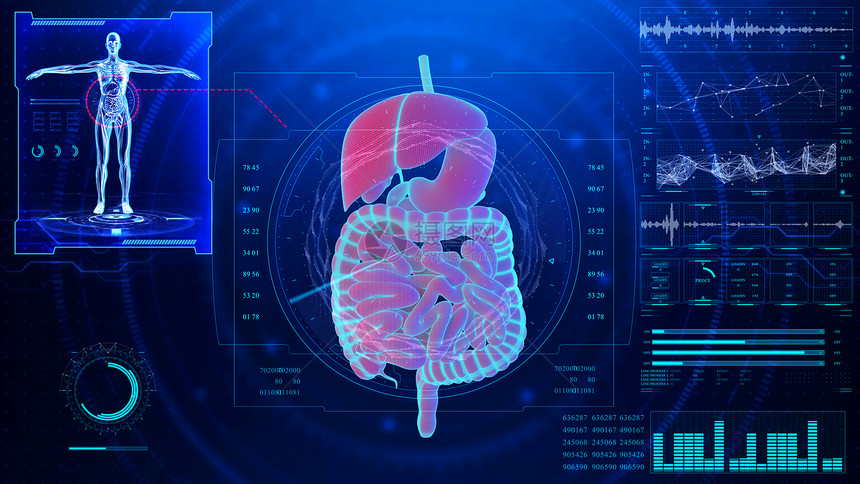 消化系统分析场景图片
