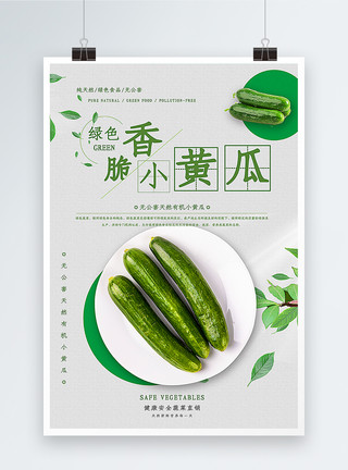 夏季蔬菜黄瓜香脆小黄瓜海报模板