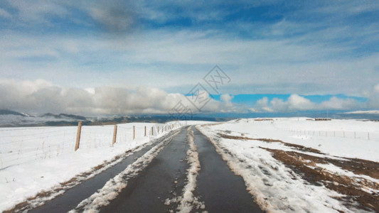 牧场旅游天山牧场五月大雪开车视角GIF高清图片