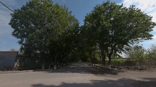 羊角村新疆农村村道乡间小道行GIF高清图片