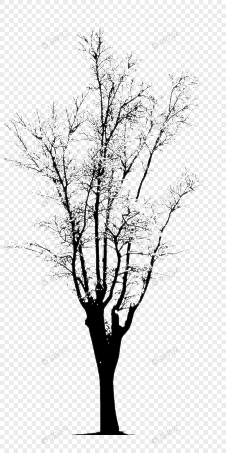 黑色树木背影图片