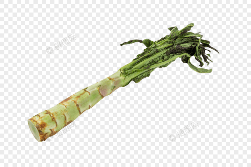 莴苣莴笋图片