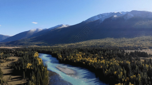 五颜六色的石头新疆喀纳斯雪山森林GIF高清图片