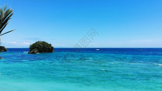 热带游玩海面GIF高清图片