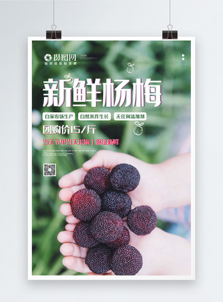 杨梅果肉新鲜杨梅上市美食海报模板