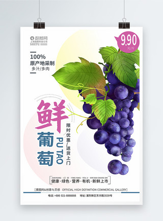 采摘葡萄葡萄采摘上市夏季水果促销海报模板