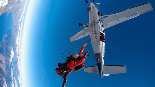 新西兰红树林高空跳伞展开预备伞GIF高清图片