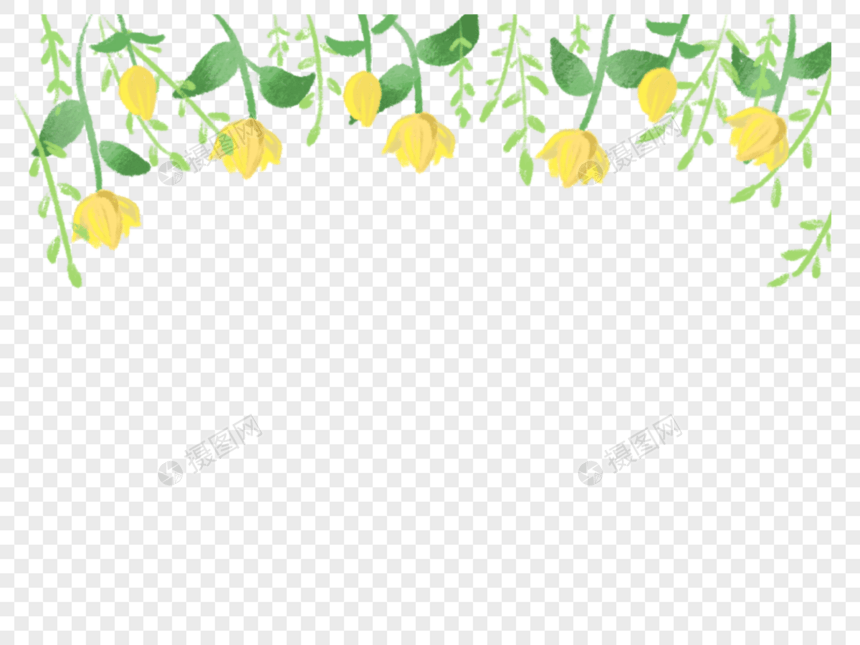 清新黄色花朵植物背景图片