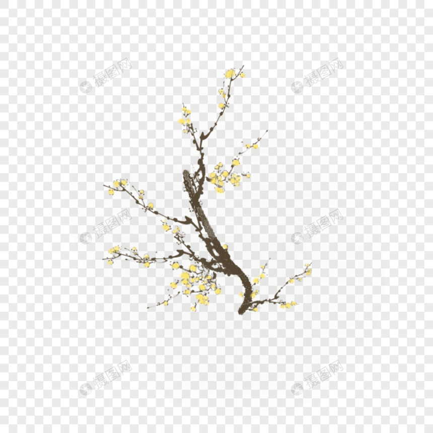 开着黄色花朵的矮小古树图片