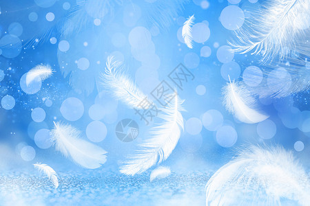 蓝色羽毛背景羽毛鎏金背景设计图片