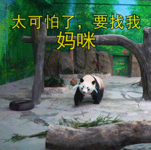 熊猫表情包gif图片