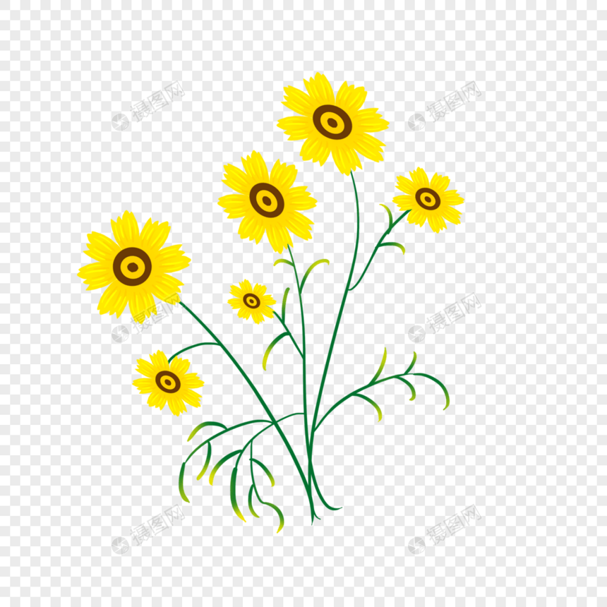 黄色花草组合图片