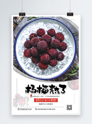 酸甜可口树莓酸甜可口杨梅熟了促销海报模板