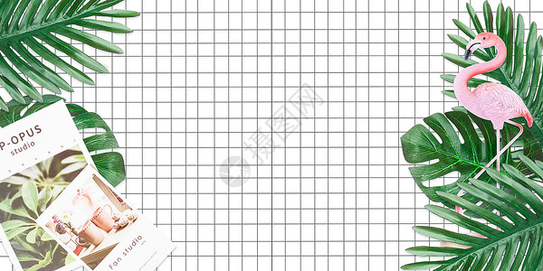 热带火烈鸟小清新植物背景设计图片
