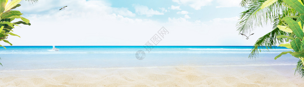 海滩上植被清凉夏日背景设计图片