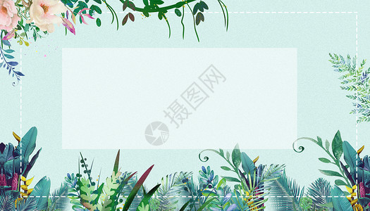 植物边框花卉清新绿色背景设计图片