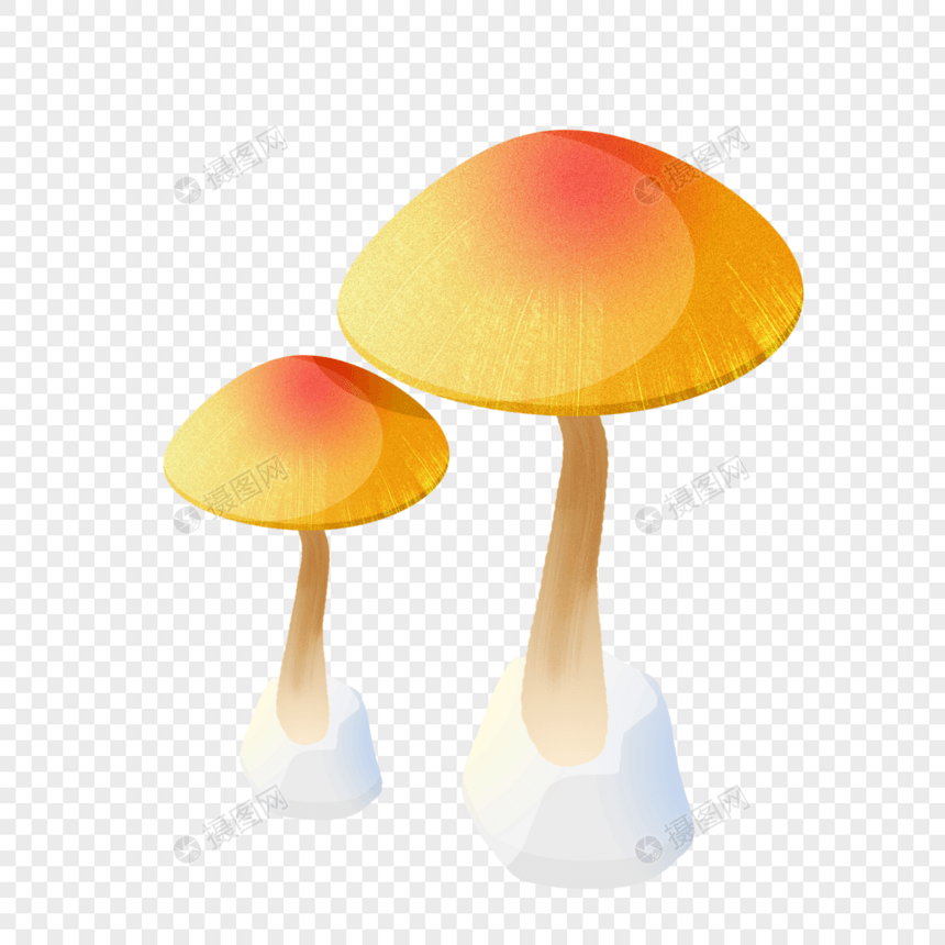 黄色小蘑菇图片