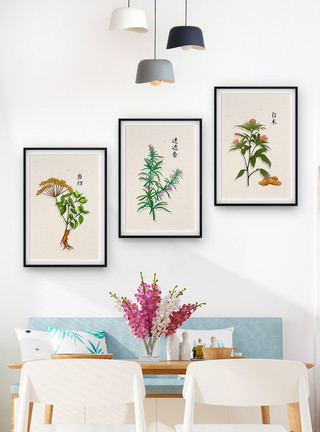 植物中药材青葙手绘植物药材装饰画模板