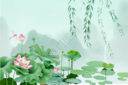 小暑蝉中国风荷花设计图片