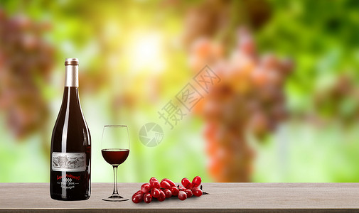南非葡萄园红酒场景设计图片