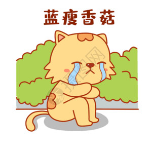 香菇豆腐大脸猫伤心表情包gif高清图片