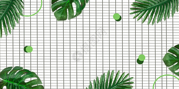 龟背叶素材ins风植物背景设计图片