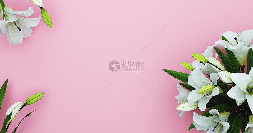 百合花背景图片