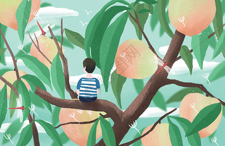 树上的桃子水蜜桃熟了插画