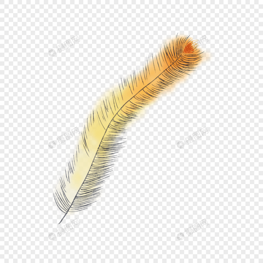 黄色长羽毛装饰素材图片