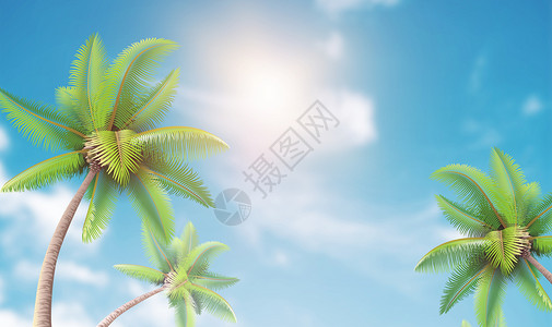 椰子树树叶天空树叶背景设计图片