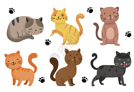 猫咪脚印手绘动物插画