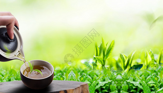 茶绿色项链茶道茶文化设计图片