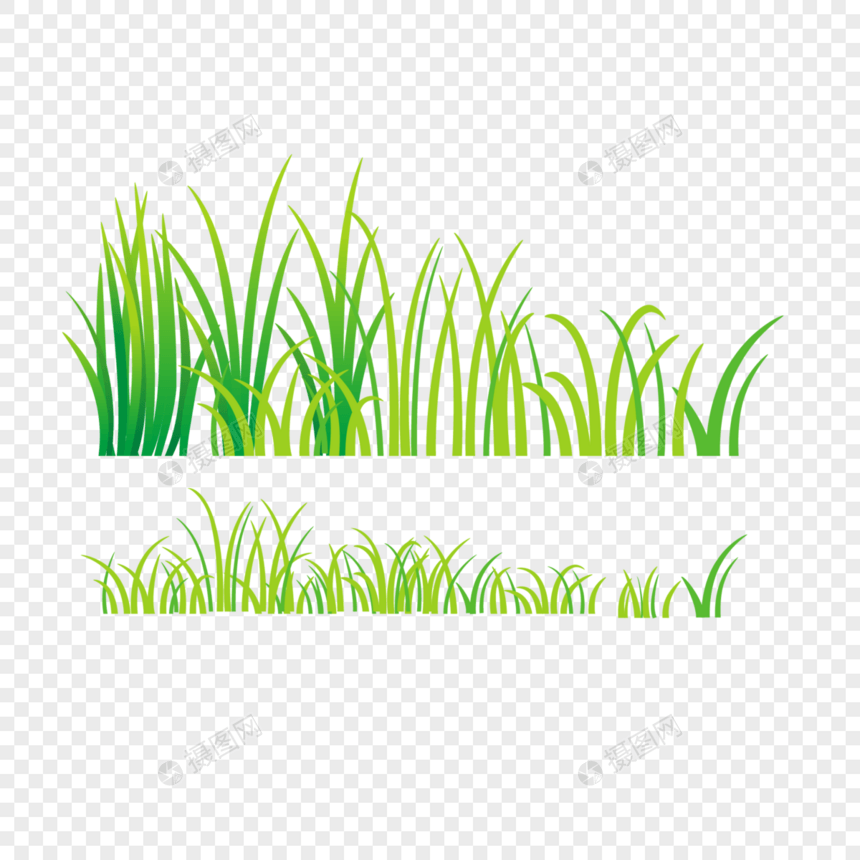 小草绿植图片