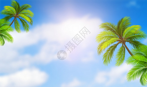 椰子树风景天空树叶背景设计图片