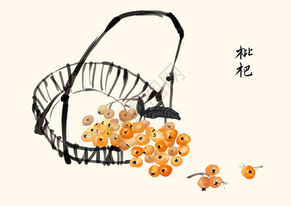 水墨夏季水果枇杷插画