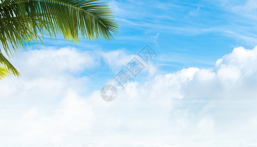 海滩草地天空树叶背景设计图片
