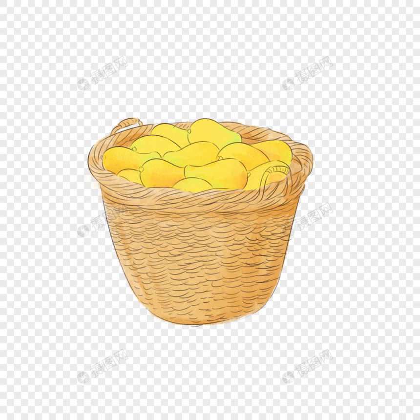 夏季水果之芒果图片