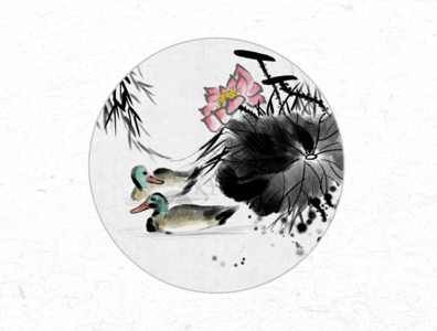 插画鸭子荷花和鸭子中国风水墨画gif高清图片