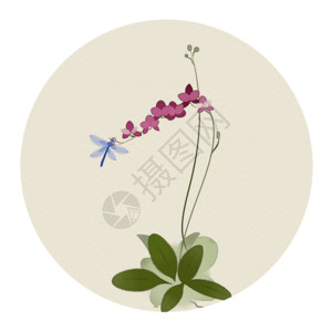 清新花卉插画中国风花卉和蜻蜓gif高清图片